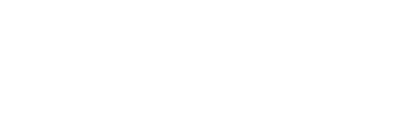 Wordpress Việt Nam